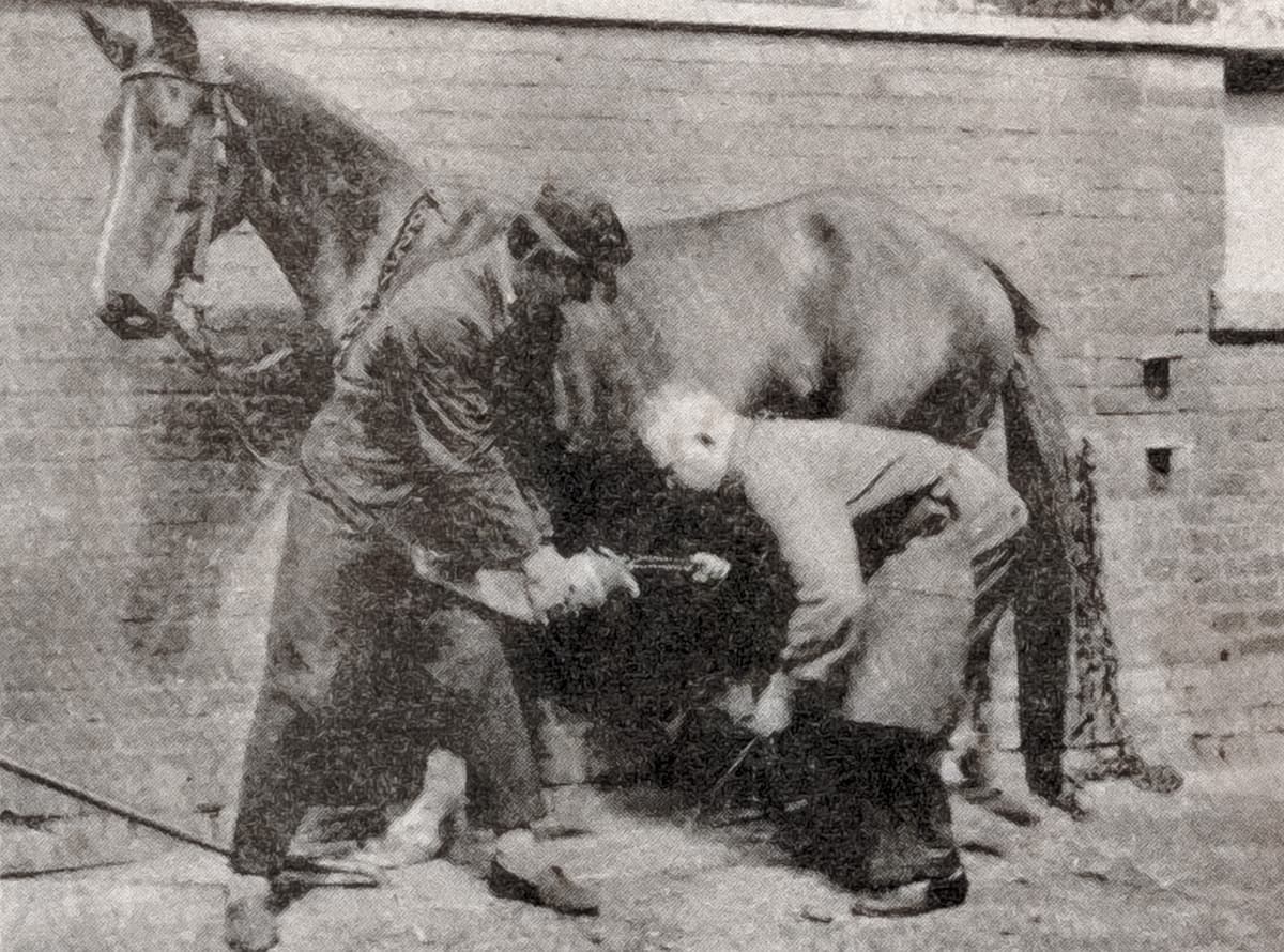 Mehr über den Artikel erfahren Wiedenbrücks letzter Hufschmied Albert Uhrmeister